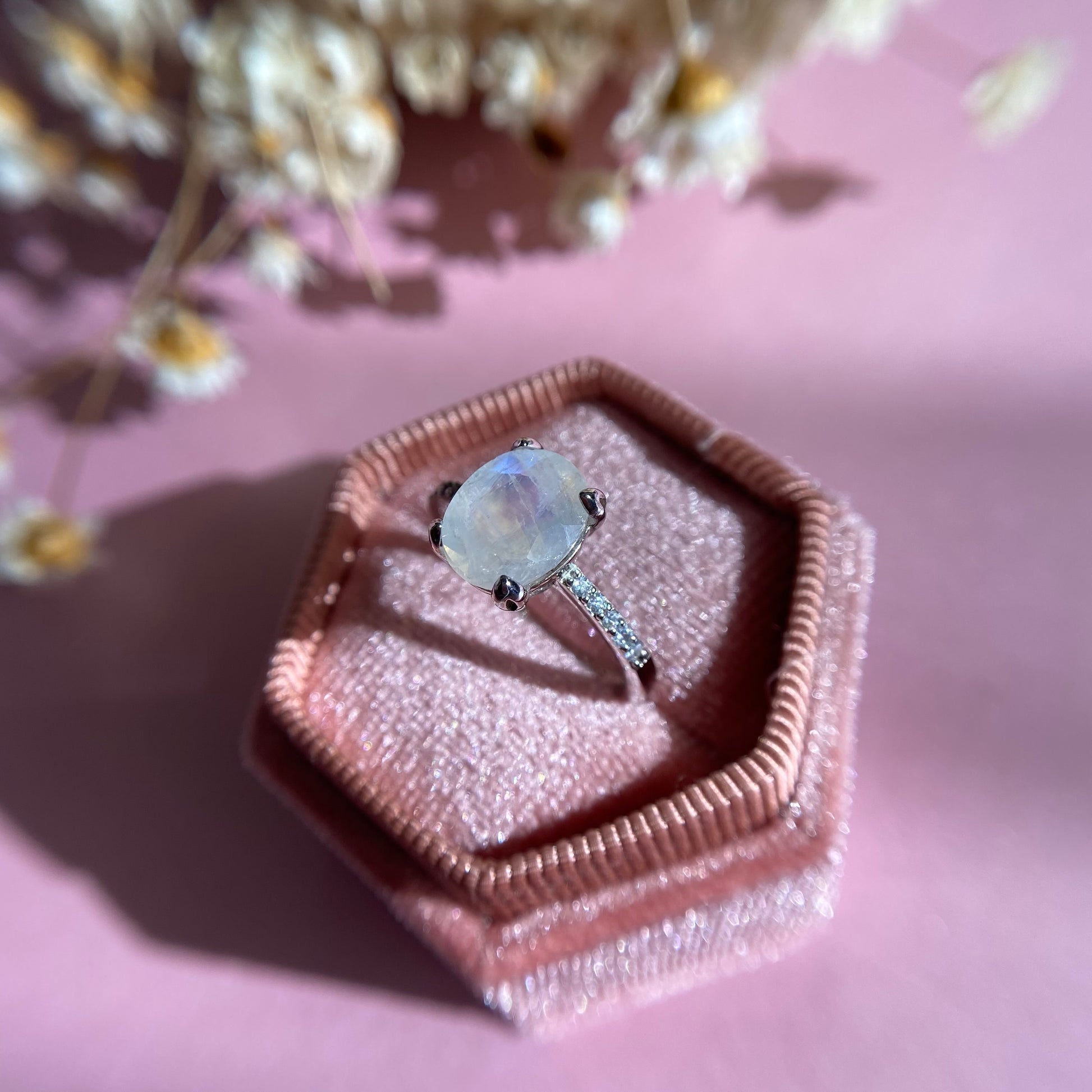 Moonstone Ring with CZ Pave Setting, 925 Sterling Silver sitting in a velvet ring box